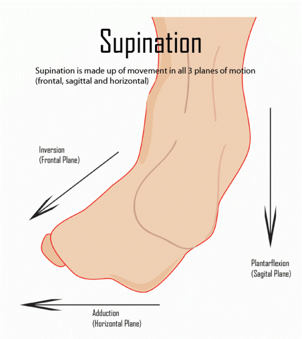 normal-supination